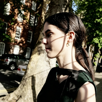 Black Gold Antler Stud Earrings