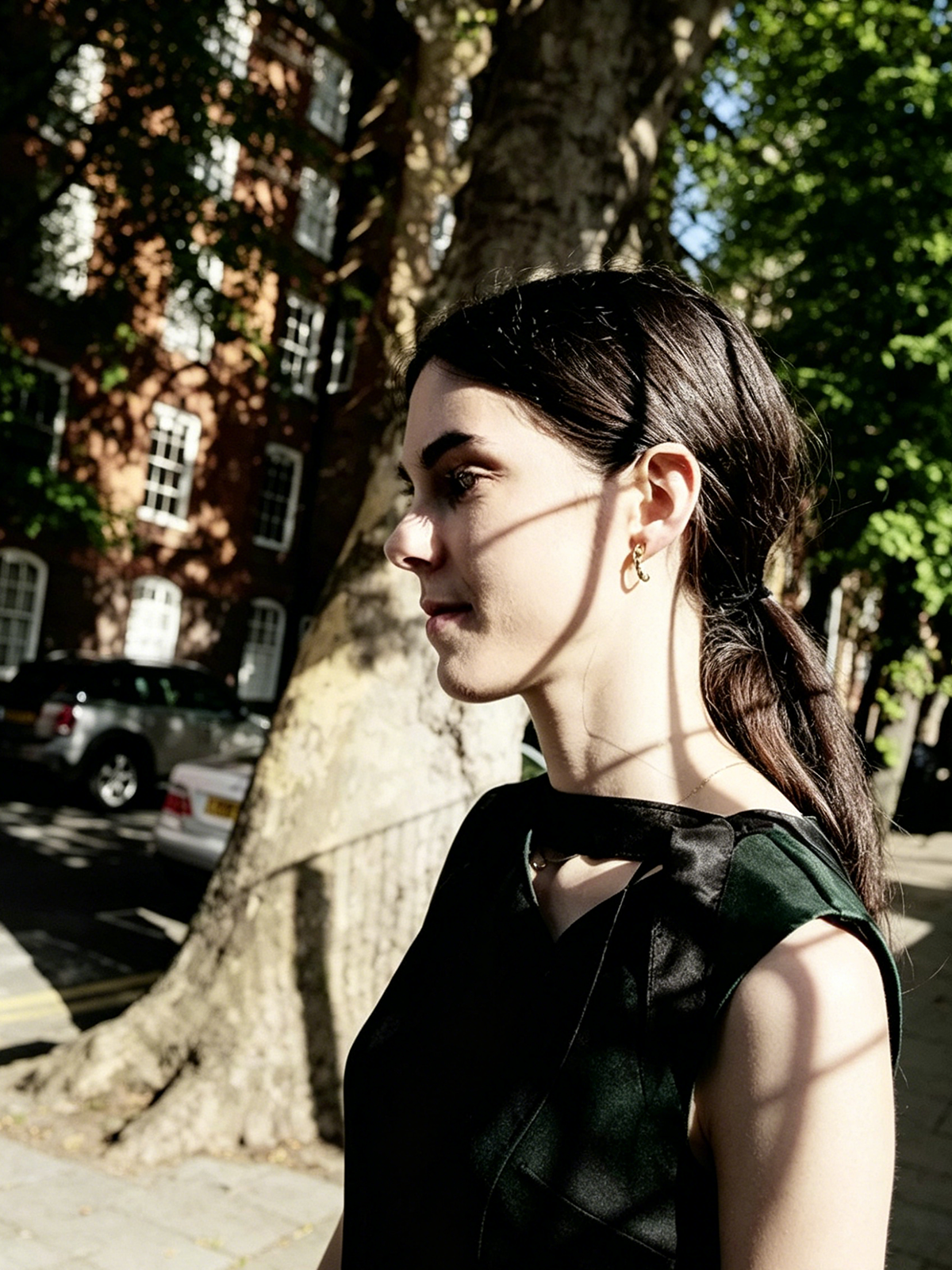 Black Gold Antler Stud Earrings