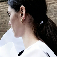 Raven Claw Asymmetry Earrings